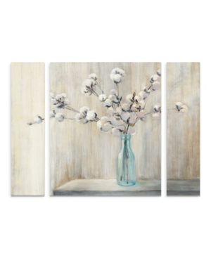 Trademark Global Julia Purinton 'cotton Bouquet' Multi Panel Art Set Large