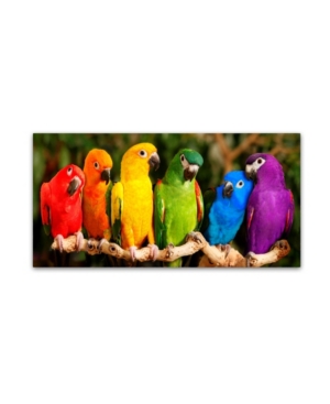 Trademark Global Mike Jones Photo 'rainbow Parrots' Canvas Art In Multi
