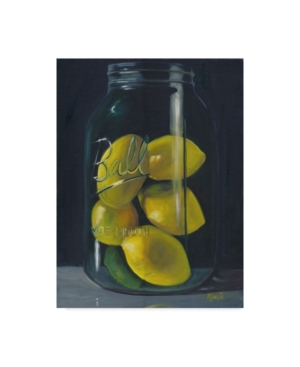 Trademark Global Marnie Bourque 'lemons' Canvas Art In Multi