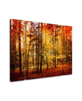 Trademark Fine Art 30 in. x 47 in. Brilliant Fall Color by Philippe