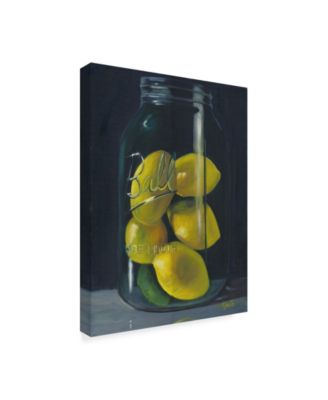 Trademark Global Marnie Bourque 'Lemons' Canvas Art - 32" x 24" x 2"