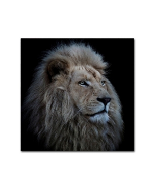 Trademark Global Louise Wolbers 'proud Lion' Canvas Art In Multi