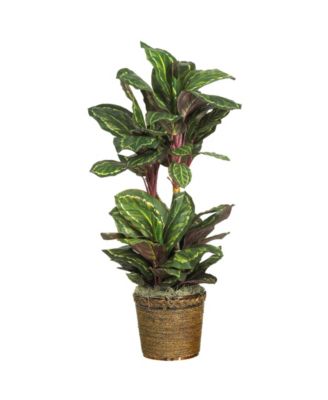 Nearly Natural - 45" Maranta Silk Plant