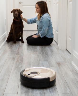 bObsweep Standard Robotic Vacuum Cleaner and Mop