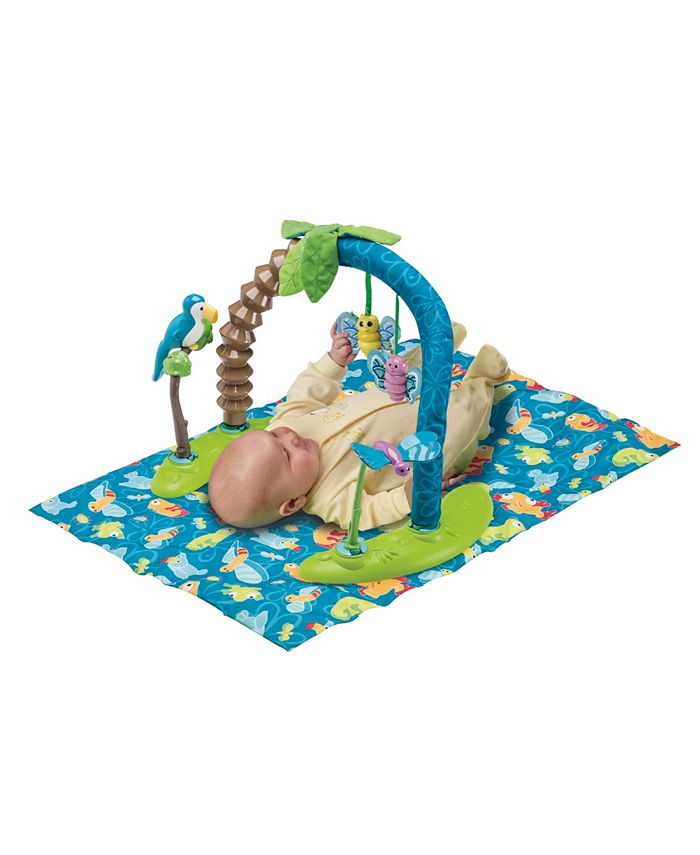 evenflo bouncing activity saucer