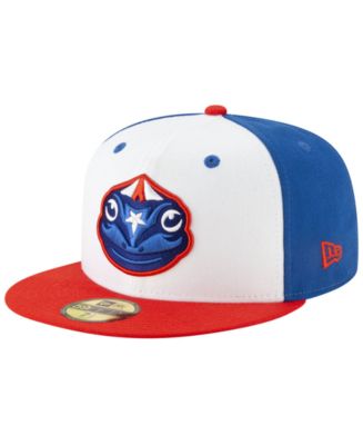 Florida fire 2025 frogs hat