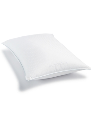 UPC 750105093598 product image for Charter Club 50% European Feather & 50% European Down Soft Density Standard/Quee | upcitemdb.com