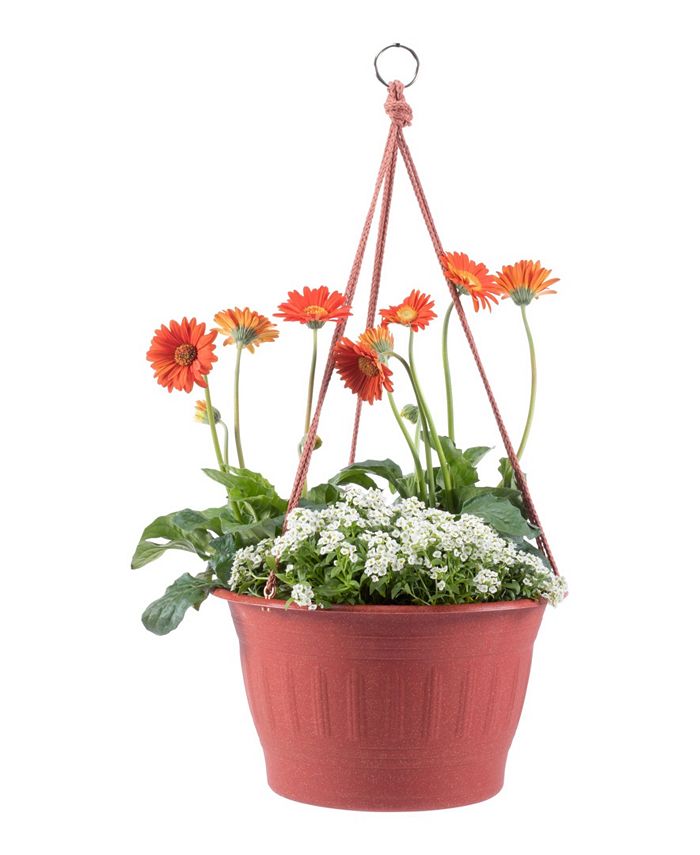 Bloem Colonnade Wood Resin 12" Hanging Basket Macy's