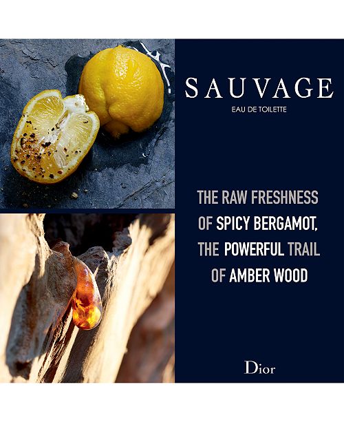 Dior Men's Sauvage Eau de Toilette Spray, 2 oz. & Reviews All Cologne Beauty Macy's