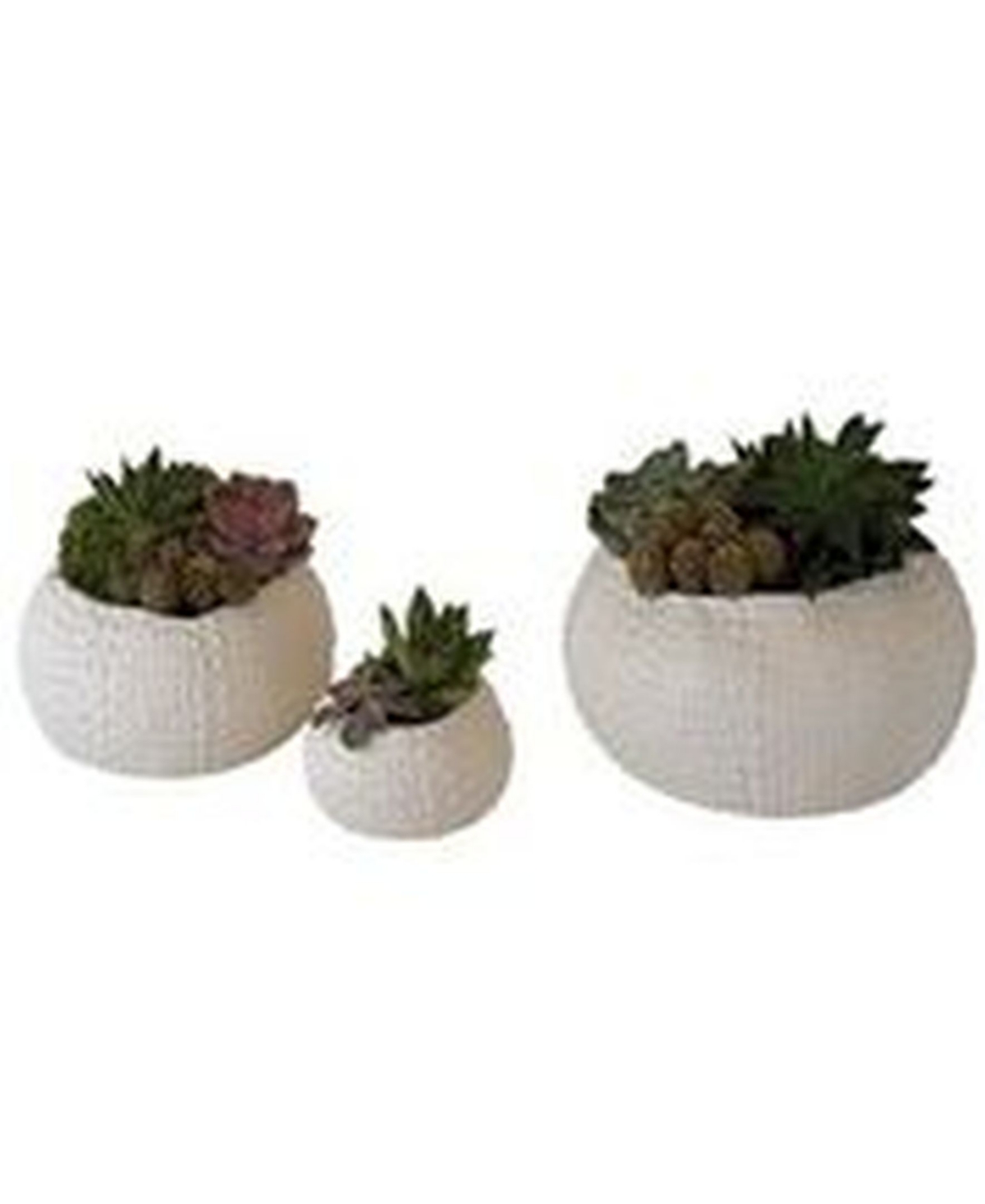 Ceramic Urchin Bowl Small