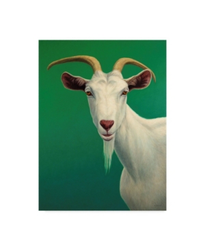 Trademark Global James W. Johnson 'portrait Of A Goat' Canvas Art In Multi
