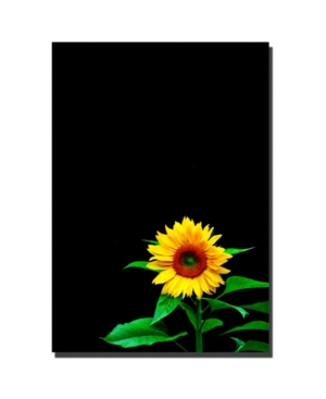 Trademark Global Kurt Shaffer 'sunflower' Canvas Art In Multi