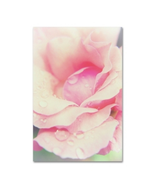 Trademark Global Pipa Fine Art 'softened Rose' Canvas Art In Multi