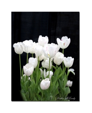 Trademark Global Kathie Mccurdy 'white Tulips' Canvas Art In Multi