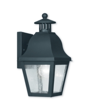 Livex Amwell 1-Light Outdoor Wall Lantern