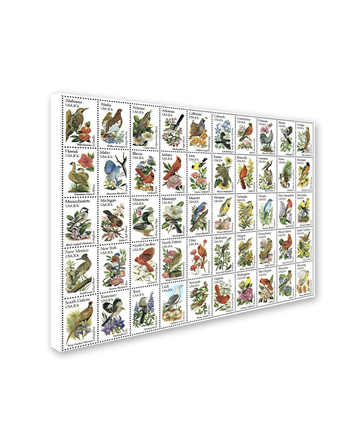 Vintage Apple Collection '50 Birds' Canvas Art -