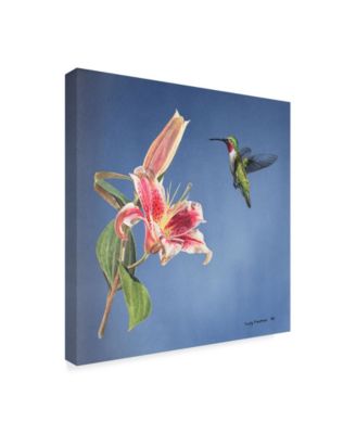 Rusty Frentner 'Hummingbird And Lily' Canvas Art - 14" x 14"