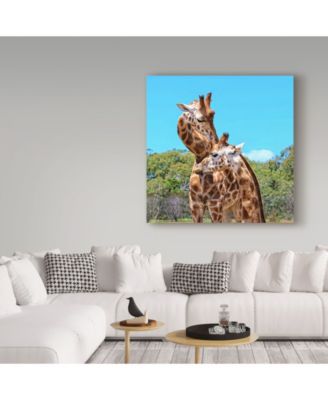 Trademark Global Incredi 'Two Giraffes Wildlife' Canvas Art - 14" x 14"