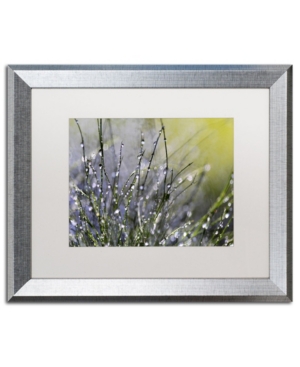 Trademark Global Beata Czyzowska Young 'spring Morning' Matted Framed Art In Multi