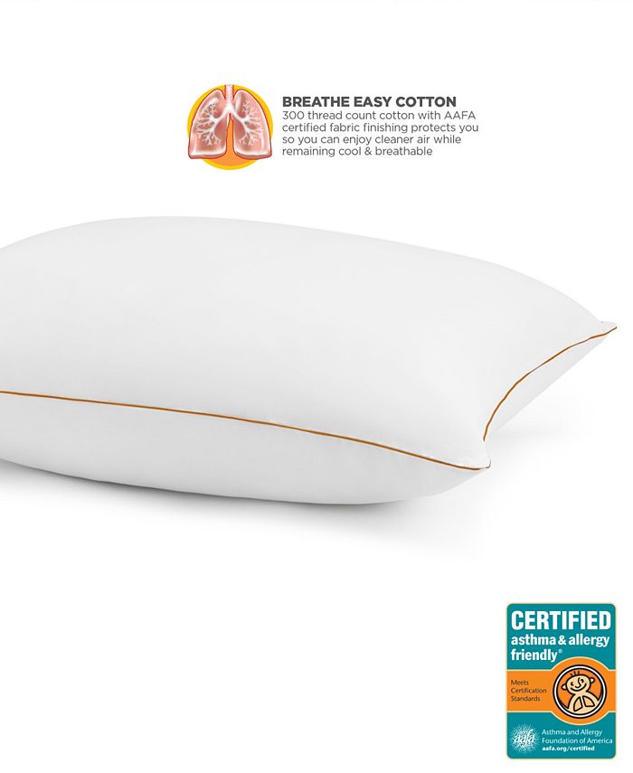 Great Sleep Breathewell Certified Asthma & Allergy Friendly Standard