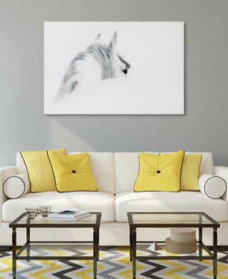 'Blanco Mare Horse' Frameless Free Floating Tempered Glass Panel Graphic Wall Art - 48" x 32''
