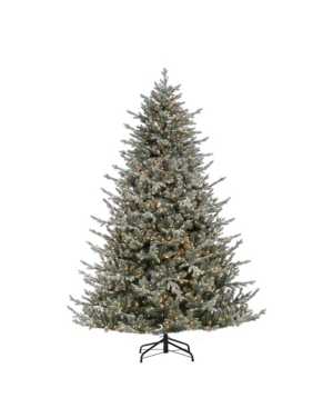 Sterling 7.5ft. Lightly Flocked Natural Cut Olympia Fir With 800 Clear Lights In Green