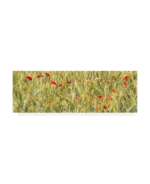 Trademark Global Philippe Hugonnard France Provence 2 Wheat Field Canvas Art In Multi