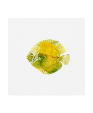 Trademark Global Emma Scarvey Discus Fish I Canvas Art In Multi