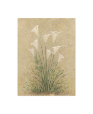 Trademark Global Debra Lake White Lilies On Parchment Canvas Art In Multi