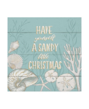 Trademark Global Janelle Penner Tranquil Morning Iii Christmas Canvas Art In Multi