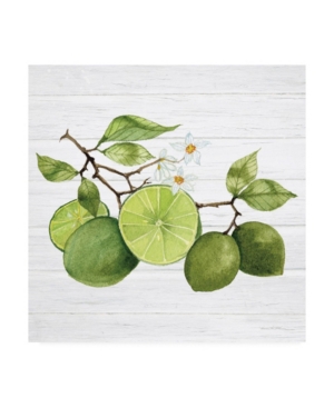 Kathleen Parr McKenna Citrus Garden Vii Shiplap Canvas Art - 155