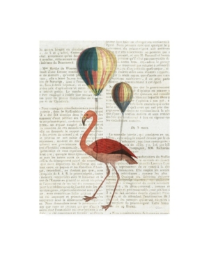 Trademark Global Sue Schlabach Flying Flamingo Canvas Art In Multi