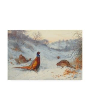 Trademark Global Archibald Thorburn Pheasant In The Snow Canvas Art In Multi