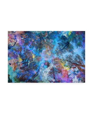 Trademark Global Michael Broo Dreaming Up To The Trees Canvas Art In Multi