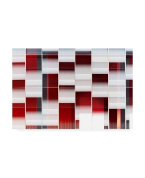 Inna Blar Ross Panning on the Wind Canvas Art - 20