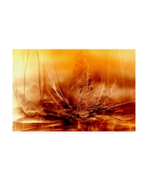 Trademark Global Willy Marthinussen Burning Water Orange Canvas Art In Multi