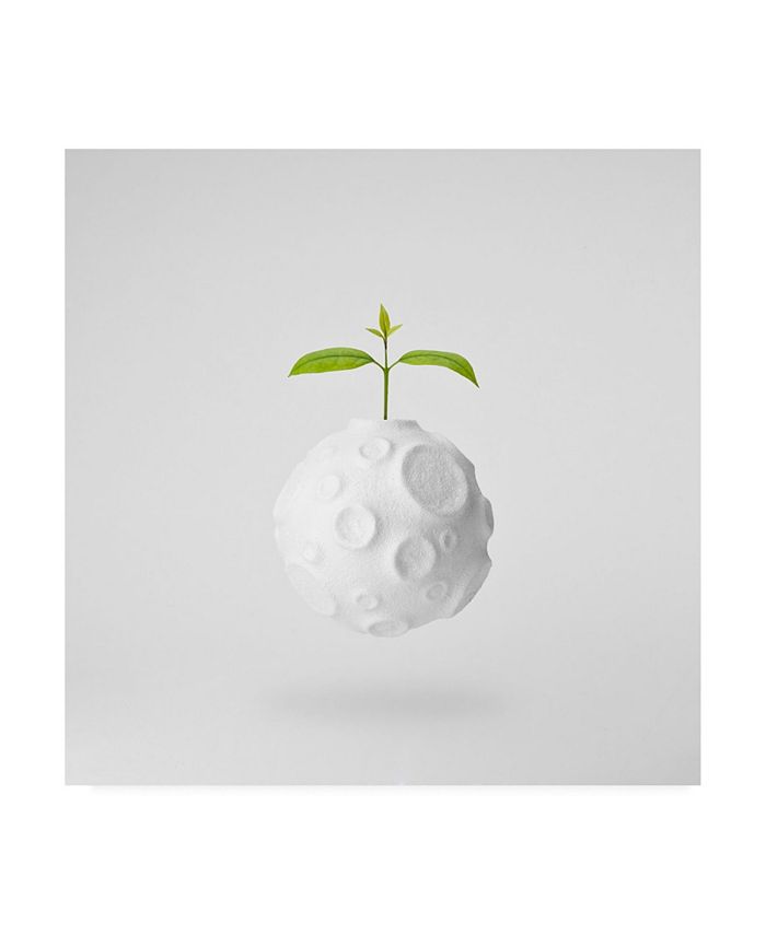 Trademark Global - 