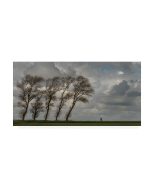 Piet Haaksma Against the Wind Trees Canvas Art - 20