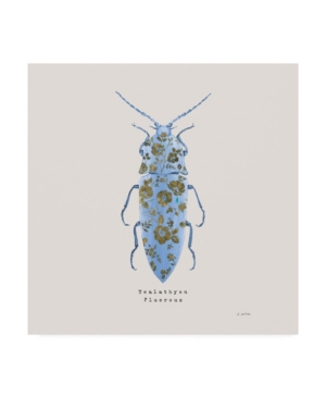 James Wiens Adorning Coleoptera Viii Sq Blue Canvas Art - 15