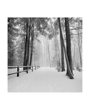 Monte Nagler Winters Path Canvas Art - 15