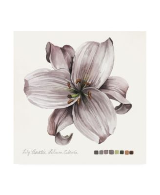 Trademark Global Grace Popp Lilium II Canvas Art - 20" x 25"