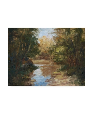 Mary Jean Weber Winding River Canvas Art - 20