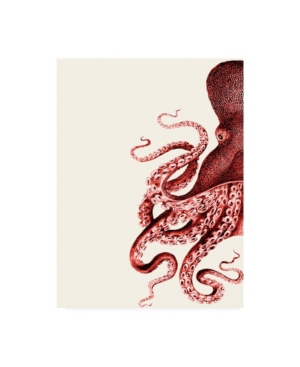 Trademark Global Fab Funky Octopus Coral And Cream A Canvas Art In Multi