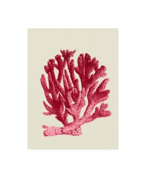 Trademark Global Fab Funky Red Corals 1 A Canvas Art In Multi