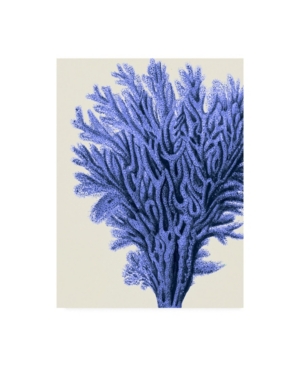 Trademark Global Fab Funky Blue Corals 2 A Canvas Art In Multi