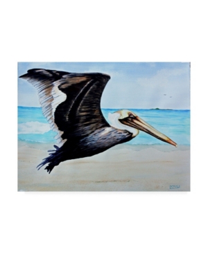 Trademark Global Patrick Sullivan Large Pelican Canvas Art In Multi