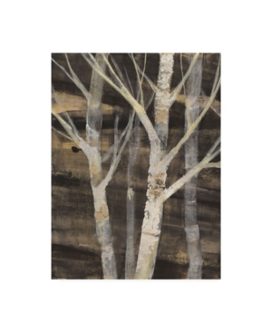 Trademark Global Albena Hristova Silver Trees I Canvas Art In Multi