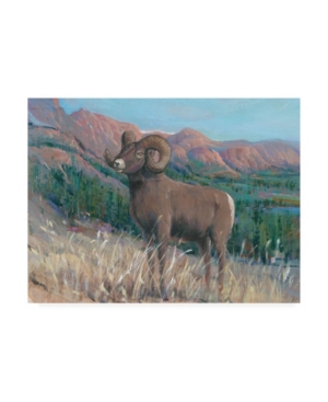Trademark Global Tim O'toole Animals Of The West Iv Canvas Art In Multi