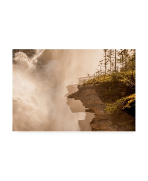 Trademark Global Dan Ballard Waterfall 2 Canyon Canvas Art In Multi
