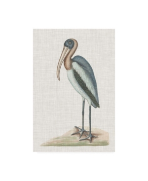 Trademark Global Mark Catesby Catesby Heron Iv Canvas Art In Multi